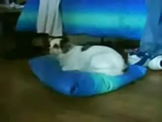 Lul slurpende twink jocks vagina sex filmpjes